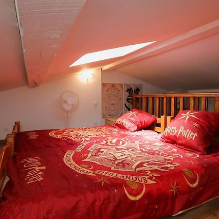 Appartamento Harry Potter - Le Logis Du Petit Sorcier - Clim Carcassonne Esterno foto