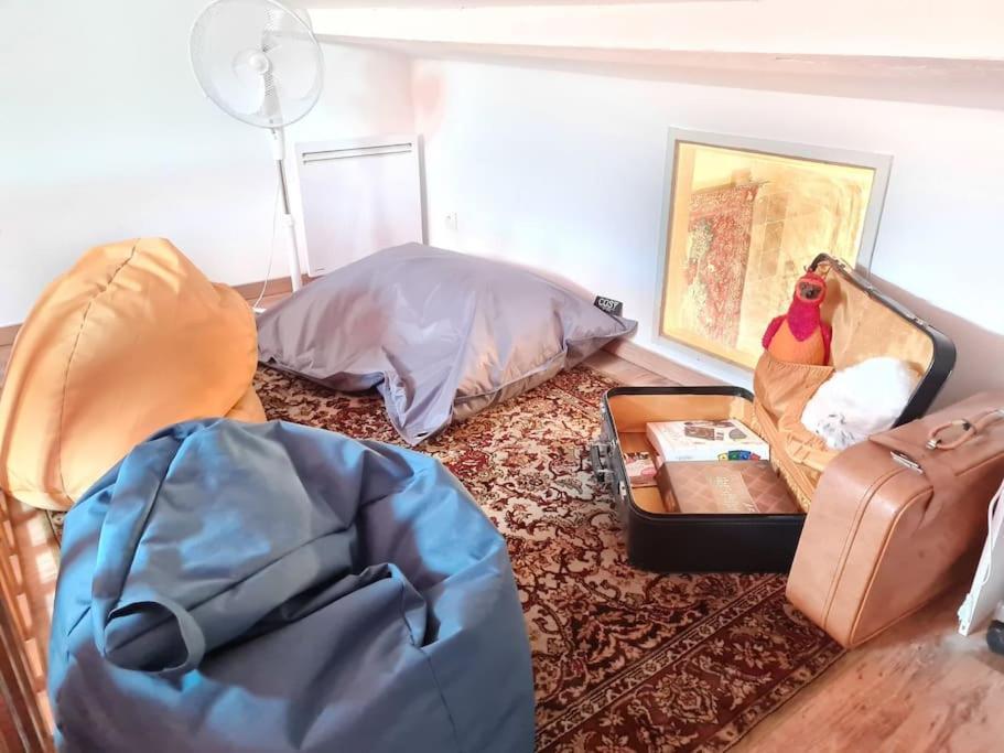 Appartamento Harry Potter - Le Logis Du Petit Sorcier - Clim Carcassonne Esterno foto
